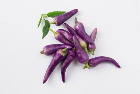 Świątek's Unconventional Interview: A Spicy Twist