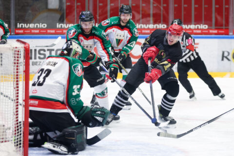 Hokej na lodzie. THL. GKS Tychy - Comarch Cracovia. 12.01.2024