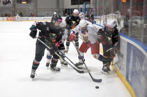 TAURON Women's Hockey League returns: female leaders will play against Kojotki Naprzód Janów